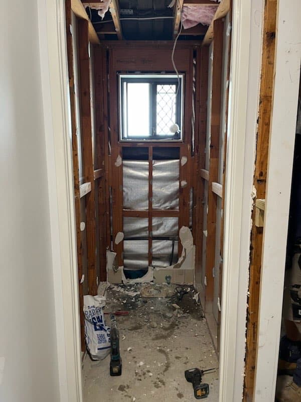 Toilet Overhaul - Before